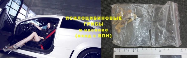 мдпв Горно-Алтайск