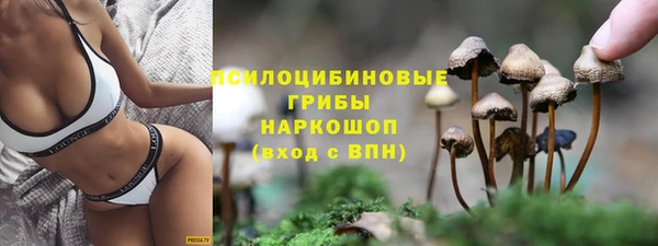 тгк Горнозаводск