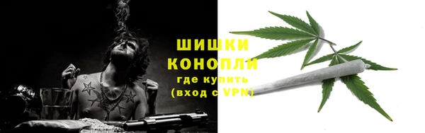 тгк Горнозаводск