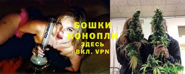 мдпв Горно-Алтайск