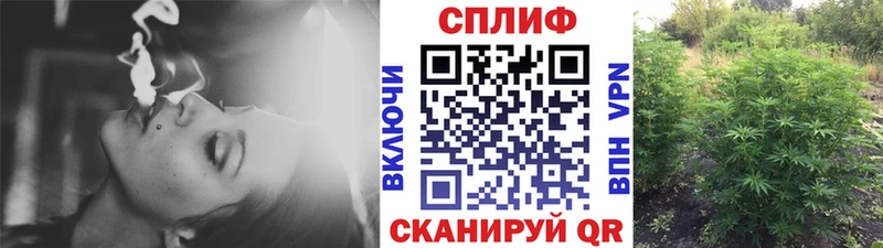 Марихуана сатива  гидра вход  Нязепетровск 